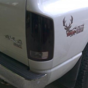 tinted tails