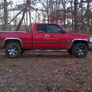 pic in the woods