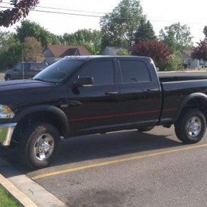 New tint