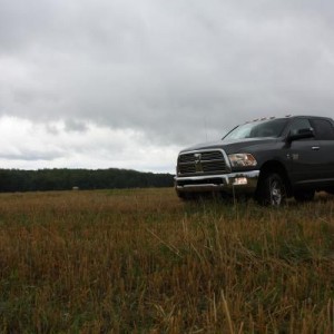 On the farm