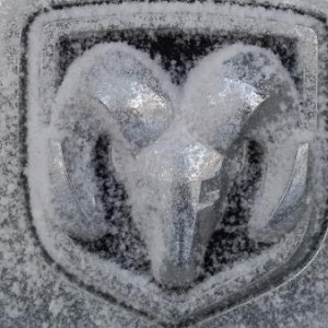 snowy