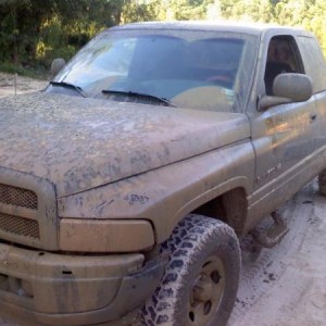 Day at the local mud hole