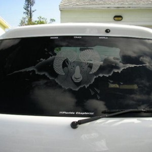 Durango pics 004
