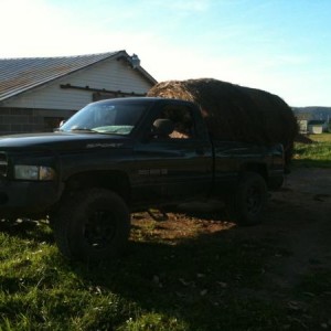 hauling some hay