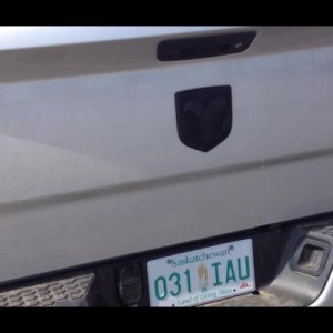 rear emblem plasti dipped