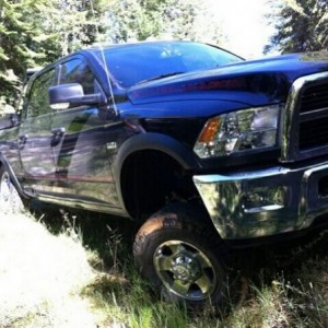 Flexing out