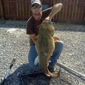 38 pd. flathead