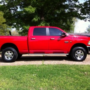 Side shot... pretty much bone stock