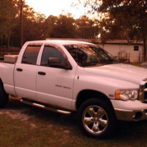 Lil White