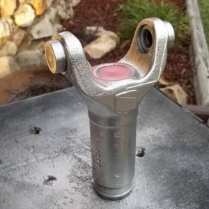 DS10