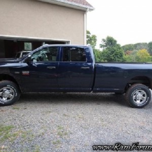 Blue Ram