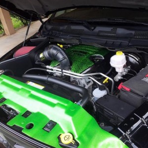 Engine Cover/Bra painted with Synergy Green.