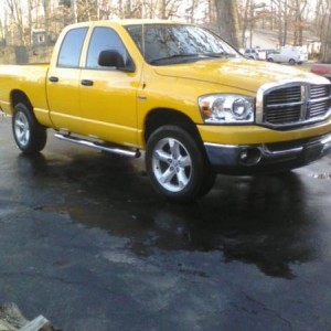 Stock