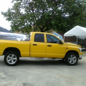 Stock