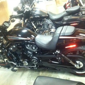 v rod stock