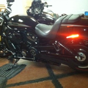v rod with lowering shocks