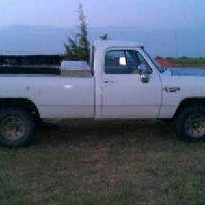 dodge1