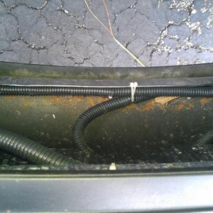 wiring for both the bull bar lights and the fog light in the bumper