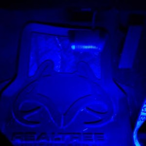 Blue LEDs on the floor