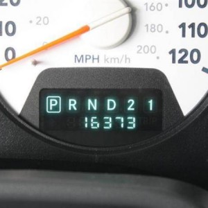 8972.jpg