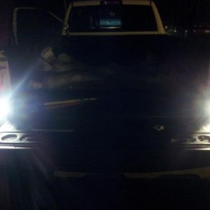Side-by-side comparison, left is sylvania replacement bulbs, right is stock reverse bulb.