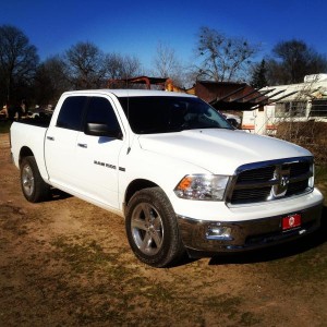 Stock