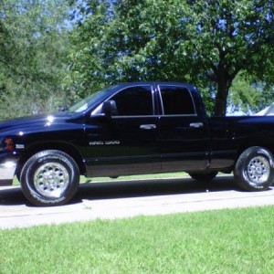 new tint