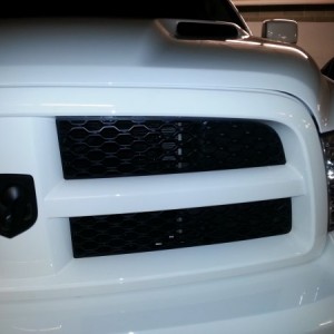 New Honeycomb grill