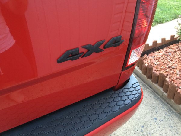 02 - Plasti-dipped the emblems.
