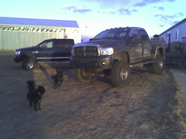 03/07 rams