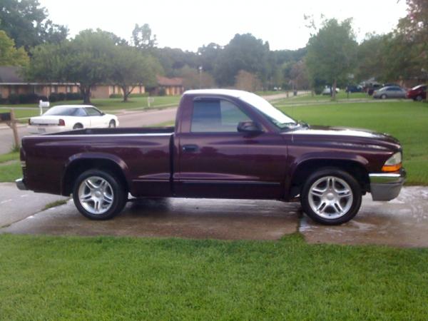 1032.jpg