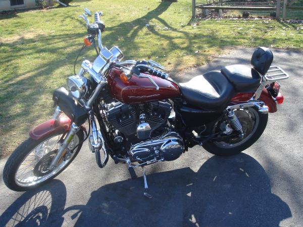 1200 Custom Sportster