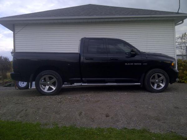 20% Tint