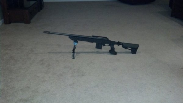 .308 I put together