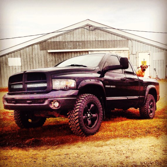 35x12.50x20 Atturo Trailblade Tires
PIAA fog lights
Burkley the Boerboel Mastiff