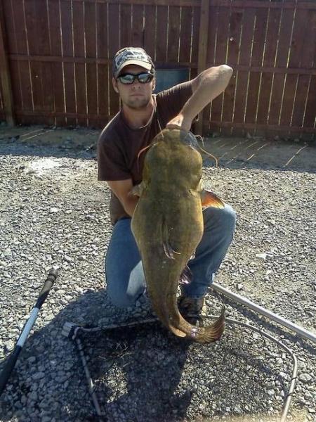 38 pd. flathead