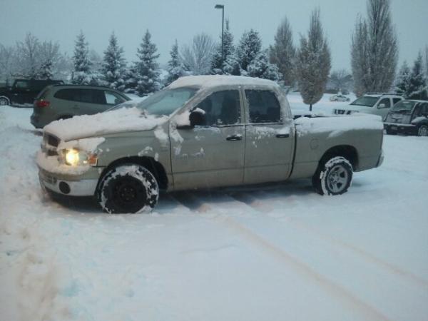 A light dusting of snow last year