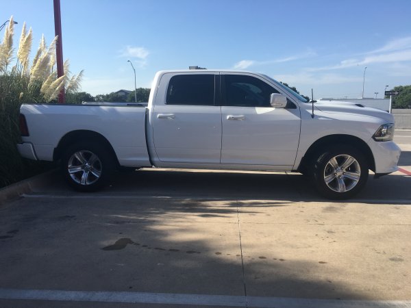 Betty leveled