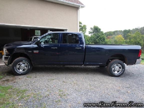 Blue Ram