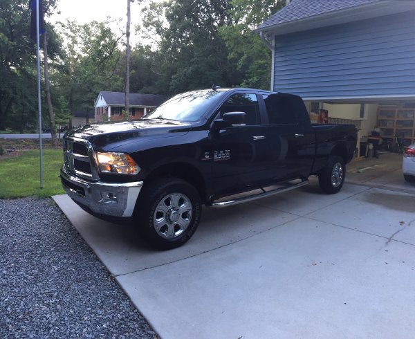 Bone stock the day she got home.