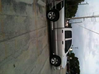bone stock!