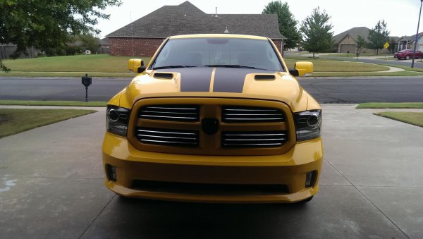 Bumble Bee 02