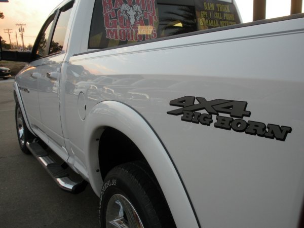 Custom made 4x4 BIG HORN decal