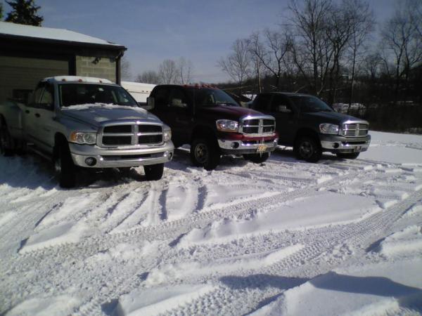 Friends Cummins
