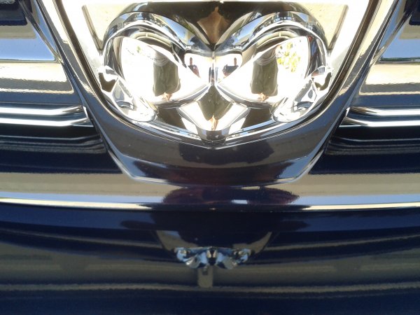 Grill/Bumper