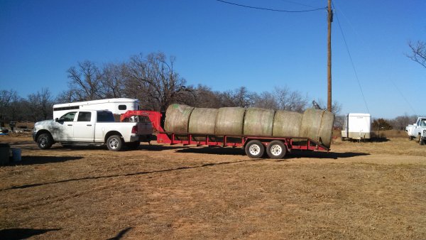 hay hay in from field