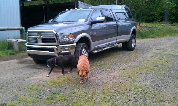 Here she is parked in the drive way, now if only Chrysler will fix the rock chipped paint from delivery of the dealer.