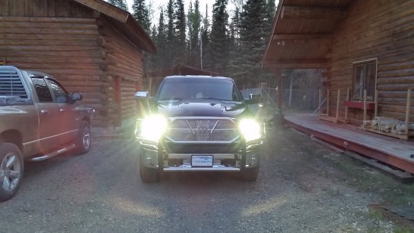 HID Brights