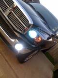HIDs