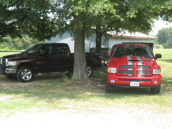 His and her rams
